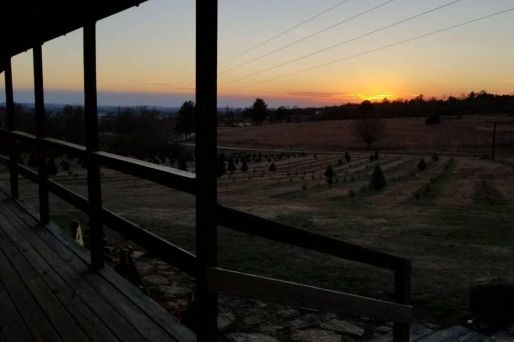 Rural Life On A Real Christmas Tree Farm! Hallmark Experience! Ozark Eksteriør bilde