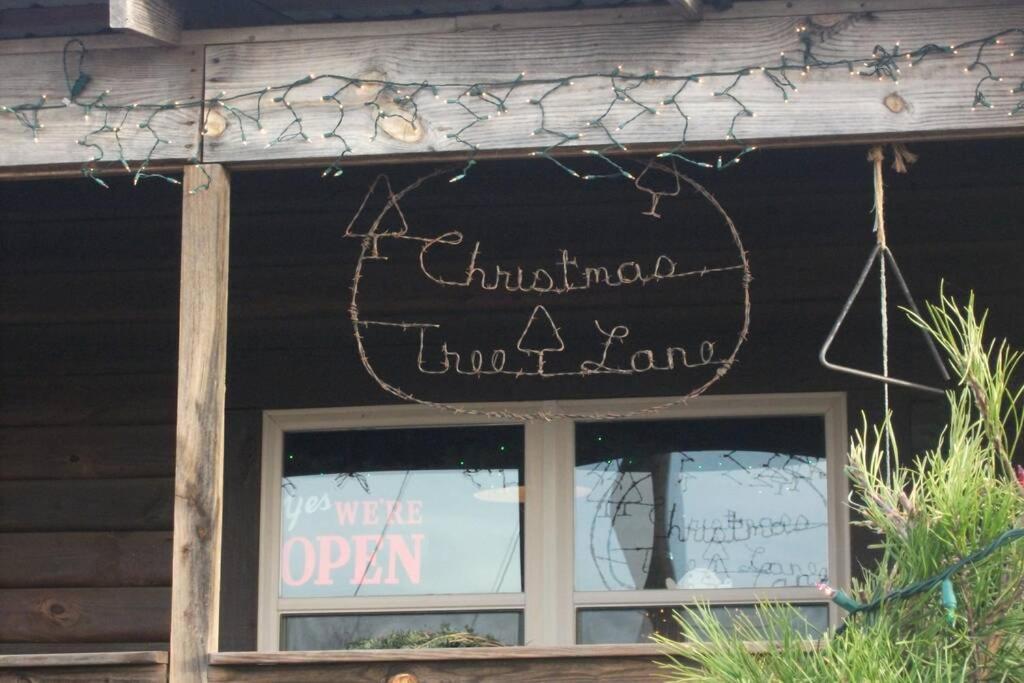Rural Life On A Real Christmas Tree Farm! Hallmark Experience! Ozark Eksteriør bilde