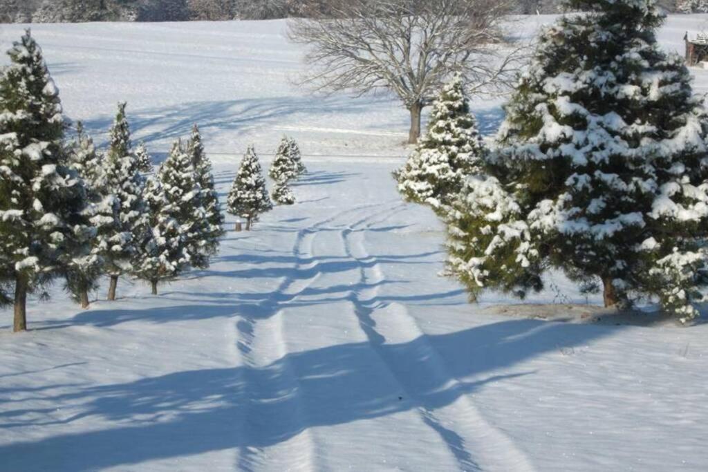 Rural Life On A Real Christmas Tree Farm! Hallmark Experience! Ozark Eksteriør bilde