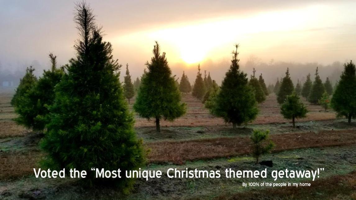 Rural Life On A Real Christmas Tree Farm! Hallmark Experience! Ozark Eksteriør bilde