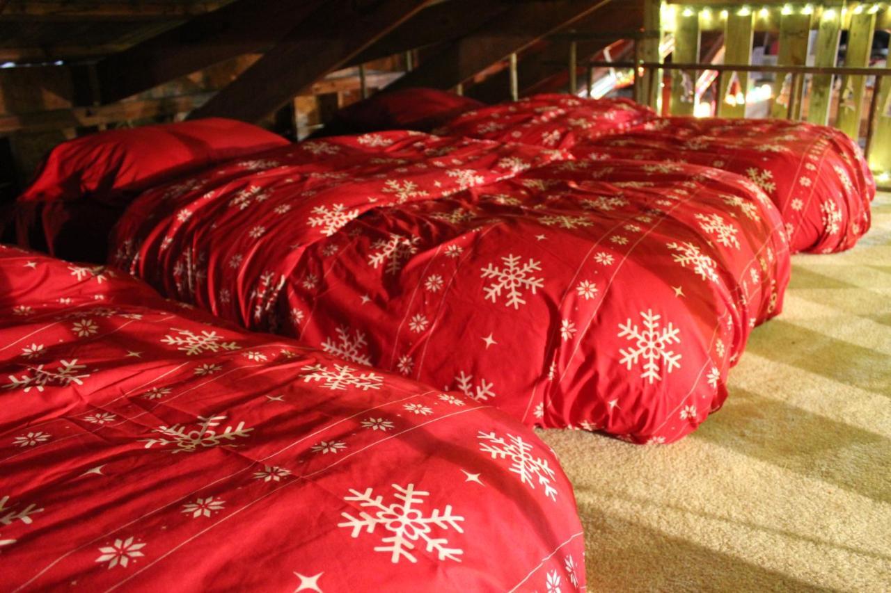 Rural Life On A Real Christmas Tree Farm! Hallmark Experience! Ozark Eksteriør bilde