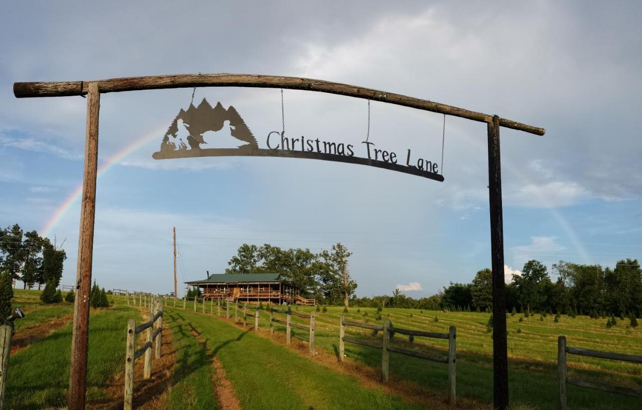 Rural Life On A Real Christmas Tree Farm! Hallmark Experience! Ozark Eksteriør bilde