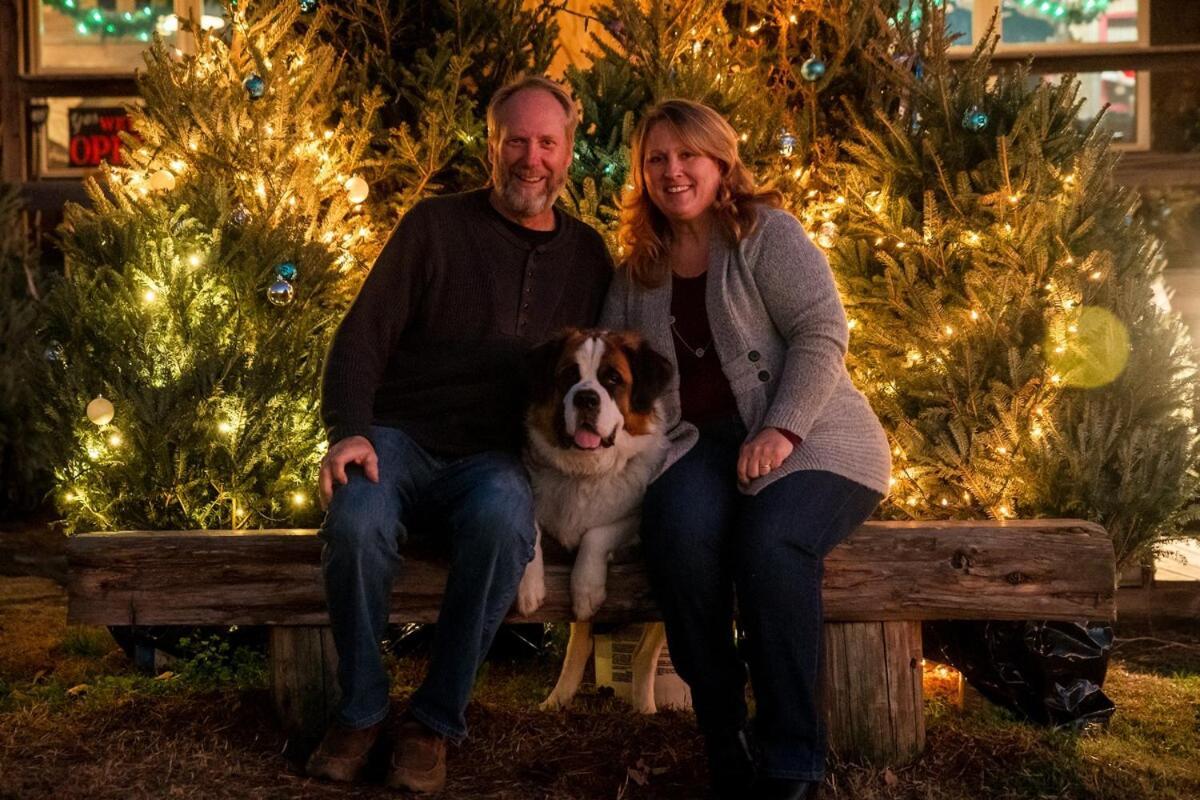 Rural Life On A Real Christmas Tree Farm! Hallmark Experience! Ozark Eksteriør bilde