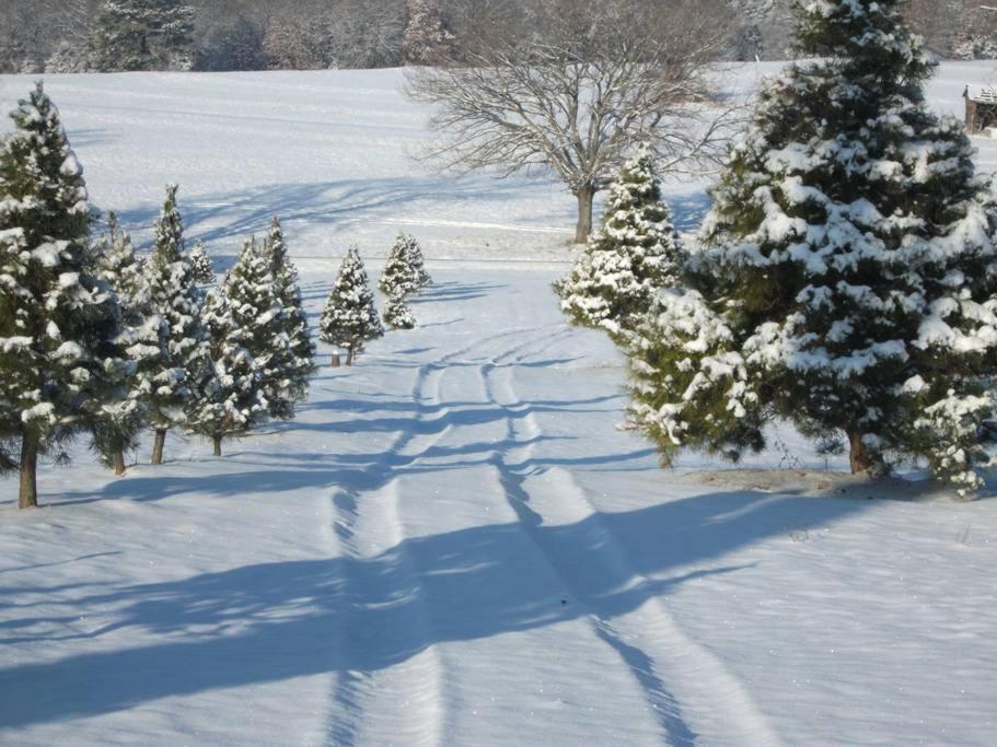 Rural Life On A Real Christmas Tree Farm! Hallmark Experience! Ozark Eksteriør bilde