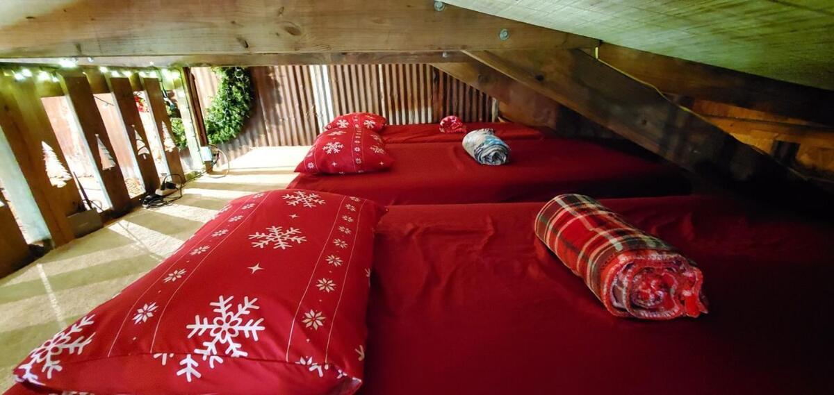 Rural Life On A Real Christmas Tree Farm! Hallmark Experience! Ozark Eksteriør bilde