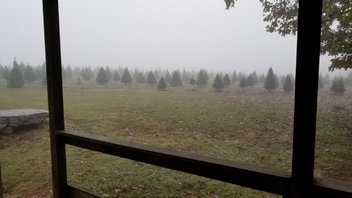 Rural Life On A Real Christmas Tree Farm! Hallmark Experience! Ozark Eksteriør bilde