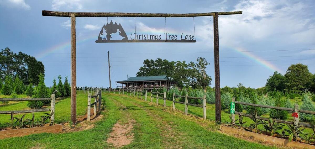 Rural Life On A Real Christmas Tree Farm! Hallmark Experience! Ozark Eksteriør bilde